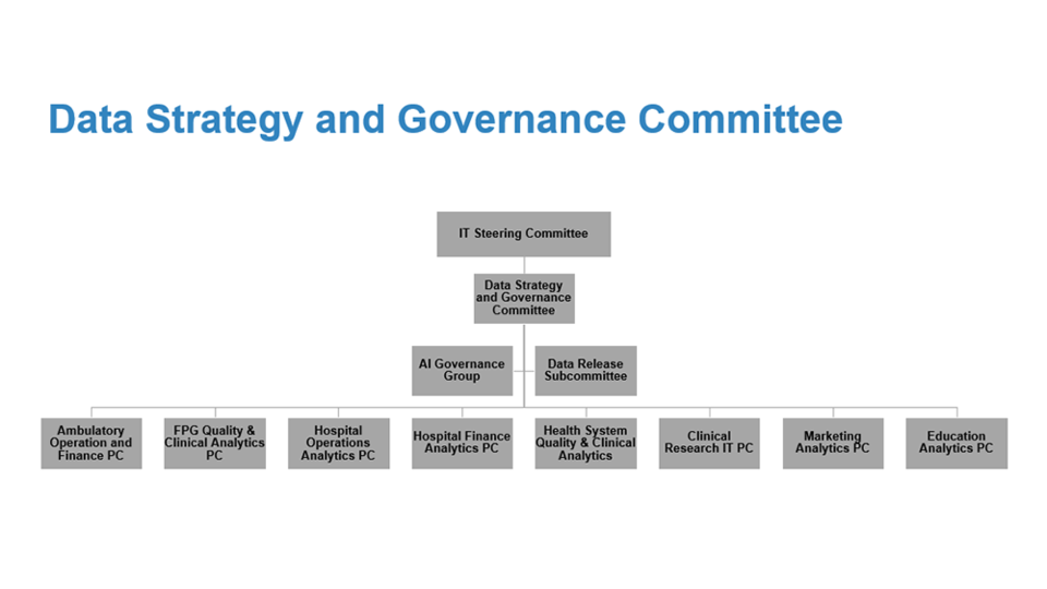 Data Strategy and Governance Committee