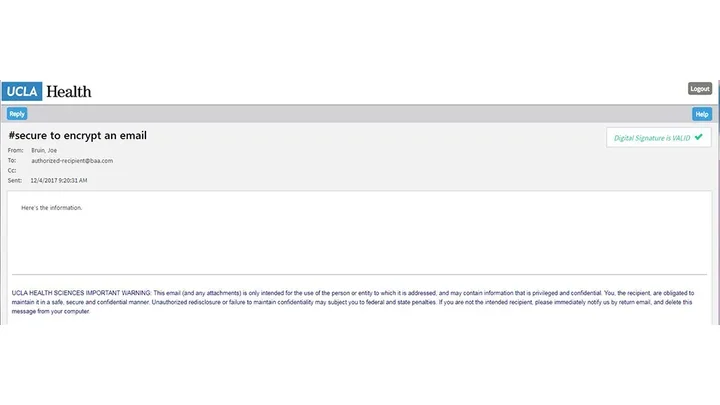 Sample image of portal