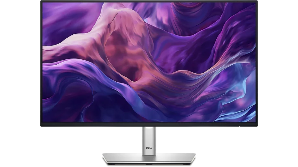 Dell Pro 24 inch Monitor