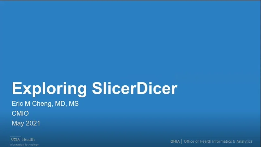 SlicerDicer presentation from Data Day