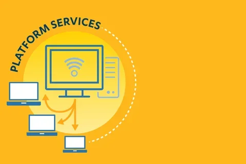 Platform servicers pillar image