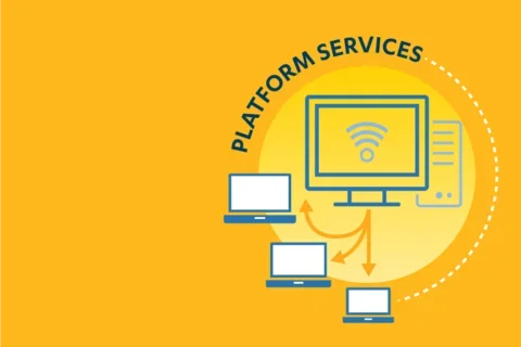 Platform services pillar