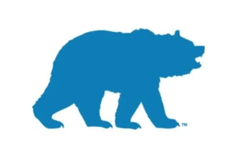 Outline of the UCLA bear in blue