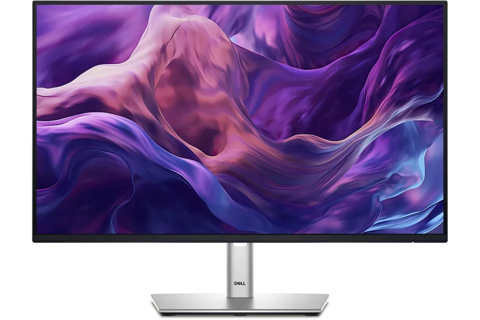 Dell Pro 24 inch Monitor