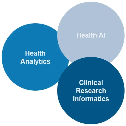 Strategic Areas of Focus
