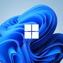 Windows 11