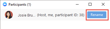 Example of rename button to left of participant information.