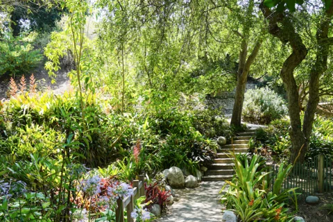 UCLA Botanical Gardens