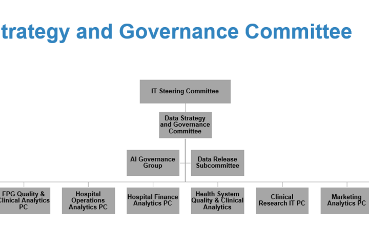 Data Strategy and Governance Committee