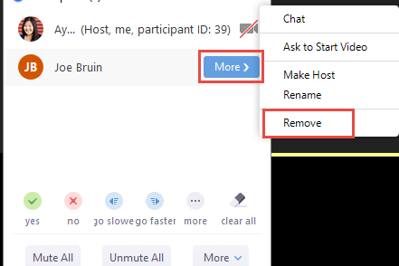 In an uninvited individual has joined your meeting, you can remove them from the Participants window